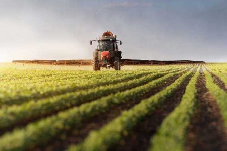 طرح فناوری‌های نوین برای هشدار سرمازدگی محصولات کشاورزی - خبرگزاری مهر | اخبار ایران و جهان