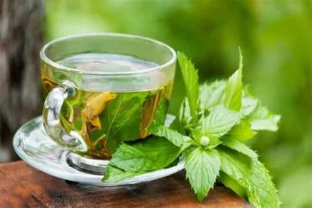 خواص بادرنجبویه برای عفونت زنان