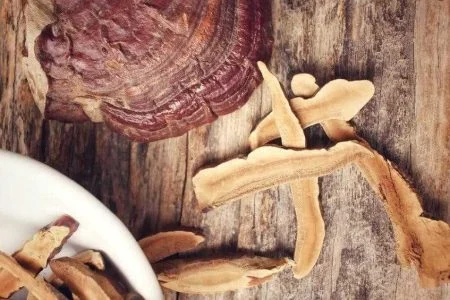 قهوه گانودرما برای فشار خون