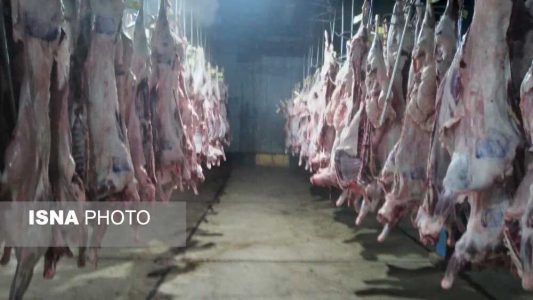 جلوگیری پلیس از توزیع 70 تن گوشت فاسد