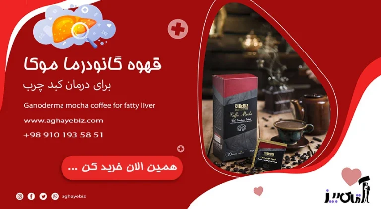 کدام قهوه گانودرما برای کبد چرب خوب است