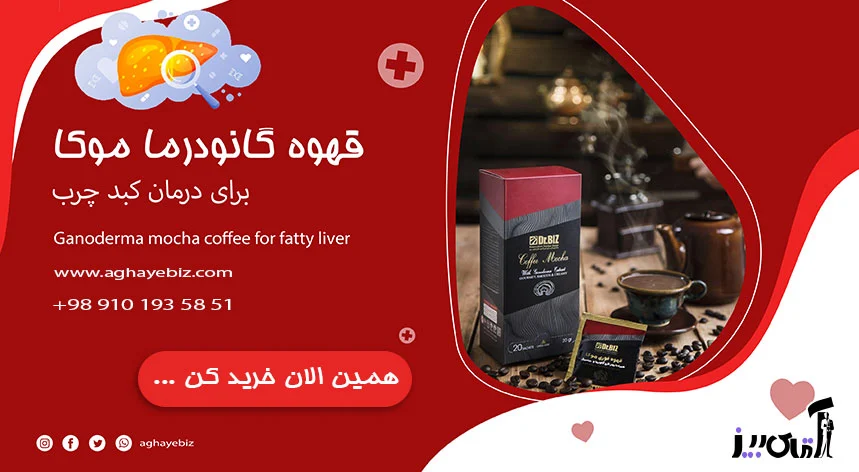 کدام قهوه گانودرما برای کبد چرب خوب است