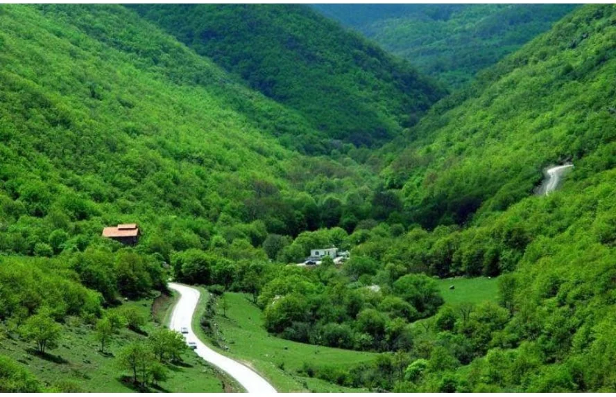 راهنمای سفر به جنگل های شمال ایران