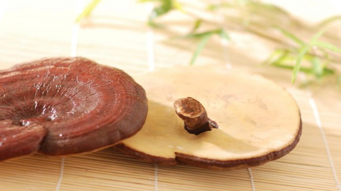 قهوه گانودرما، بخوریم یا نخوریم؟