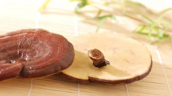 قهوه گانودرما، بخوریم یا نخوریم؟