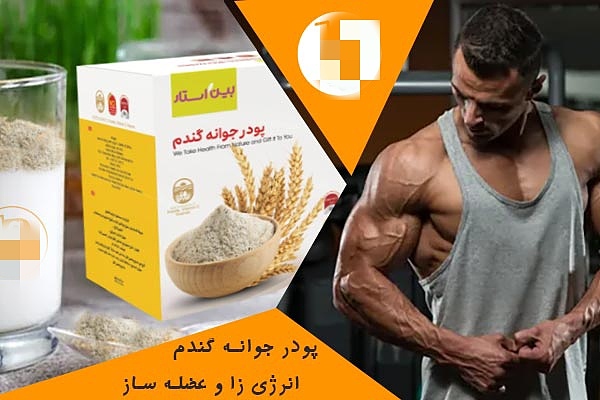 پودر جوانه گندم و درمان مشکلات تغذیه ای