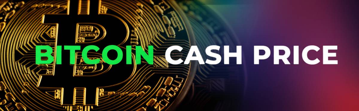 قیمت ارز بیت کوین کش