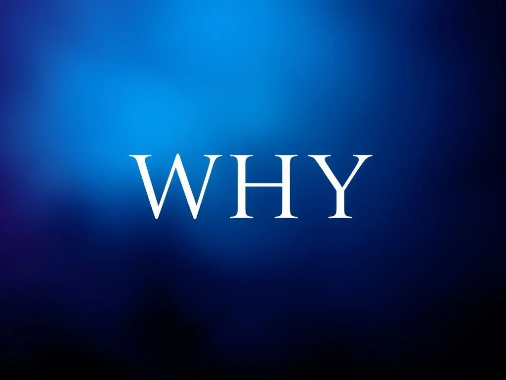سوال منفی با why